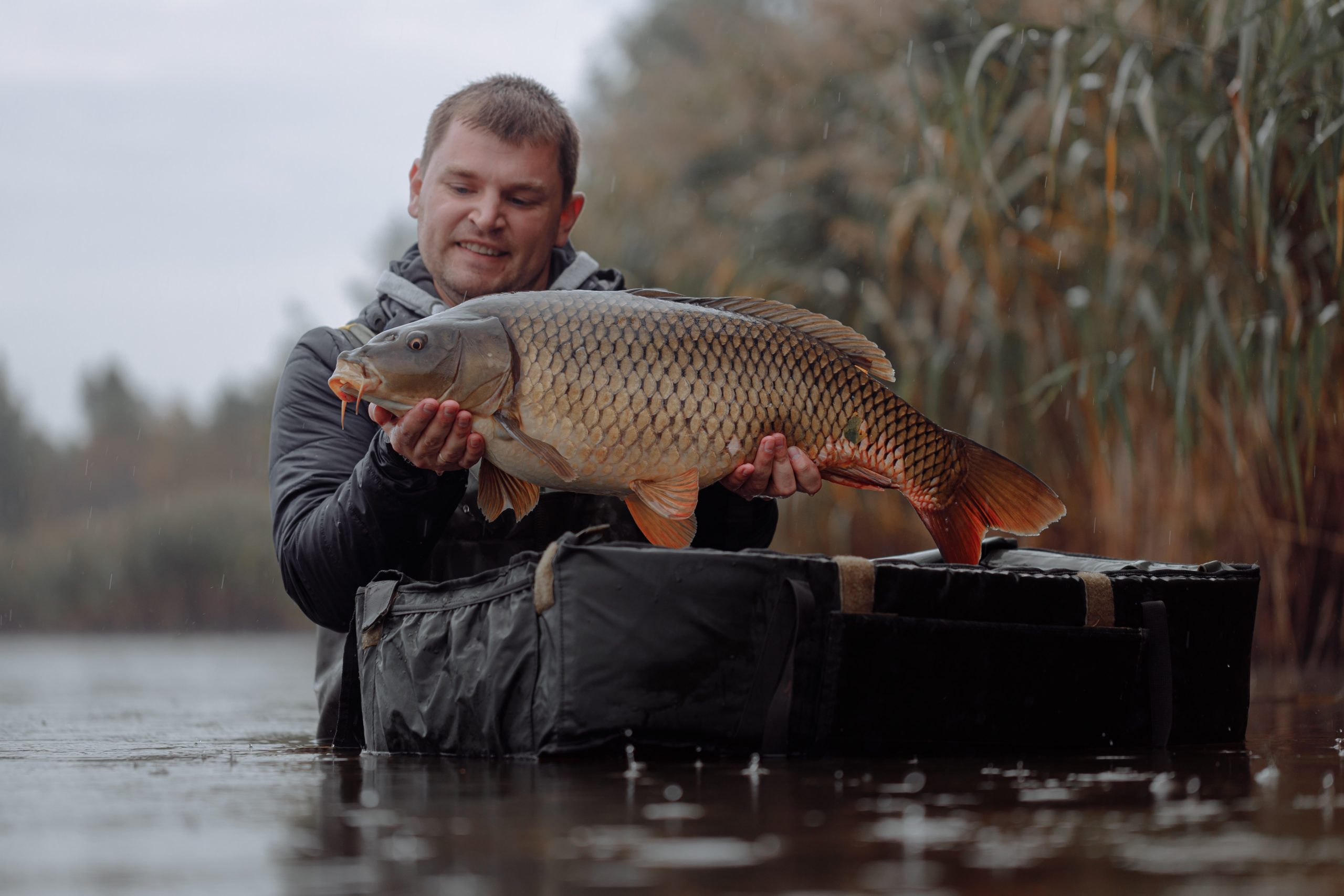 boilies-karpervissen